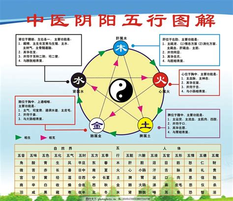 五行圖表|五行